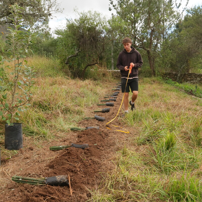 talleres de agroforestería sintrópica