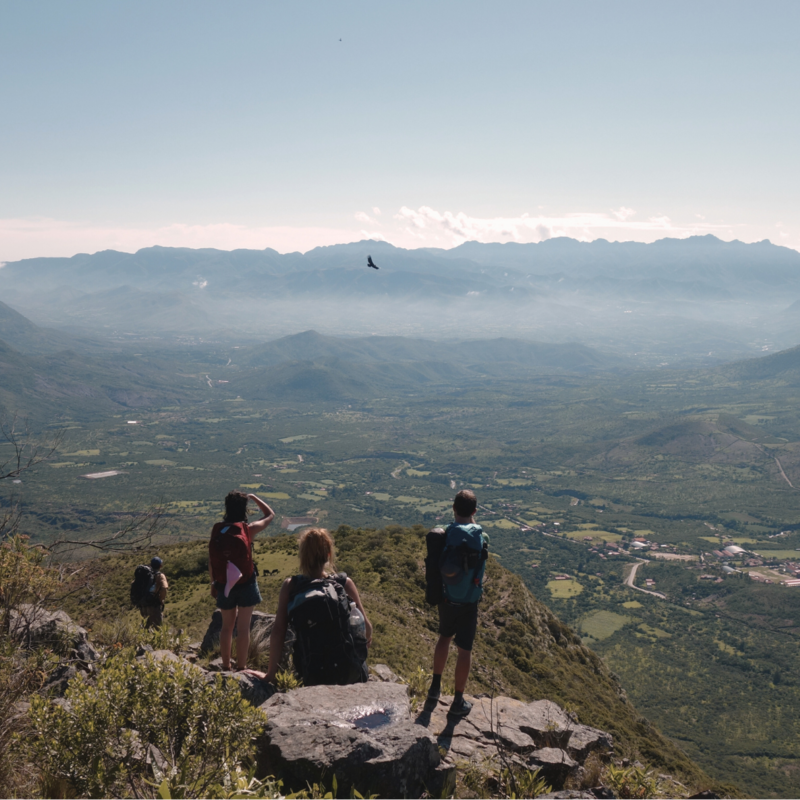 En nuestros tours, tendrás la oportunidad de observar muy de cerca el vuelo de los cóndores